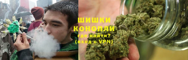 ГАЛЛЮЦИНОГЕННЫЕ ГРИБЫ Алзамай