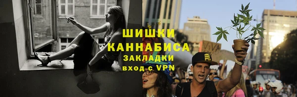 ГАЛЛЮЦИНОГЕННЫЕ ГРИБЫ Алзамай