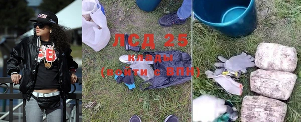ГАЛЛЮЦИНОГЕННЫЕ ГРИБЫ Алзамай