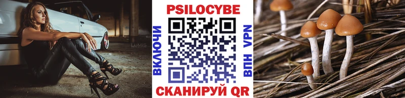 Галлюциногенные грибы Psilocybe  нарко площадка наркотические препараты  Североуральск 