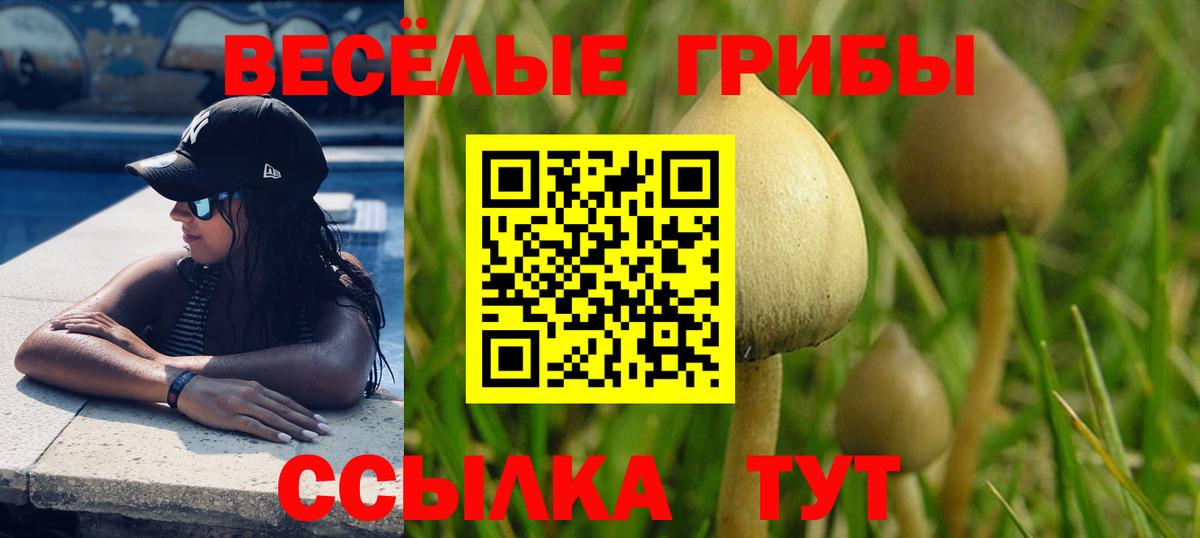 Галлюциногенные грибы ЛСД  Галлюциногенные грибы Magic Shrooms  Вход с VPN  Североуральск 